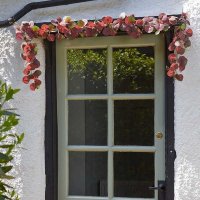 Faux Decor Eucalyptus Garland - Violet