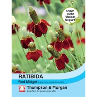 Thompson & Morgan Ratibida columnifera f. pulcherrima 'Red Midge