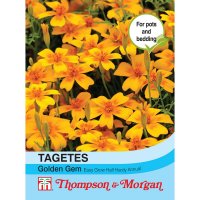 Thompson &  Morgan Tagetes Golden Gem