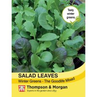 Salad Leaves - Winter Greens The Good Life Mixed