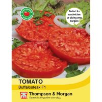 Thompson & Morgan Tomato Buffalosteak F1 Hybrid