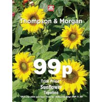 Thmpson & Morgan Sunflower Topolino