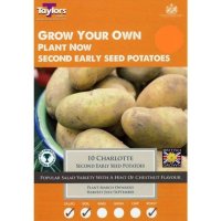 Taylors Charlotte Second Early Seed Potatoes - 10 Bulbs