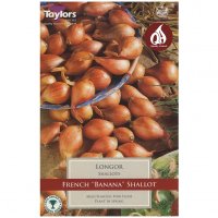 Taylors Longor Shallots - 10 Bulbs
