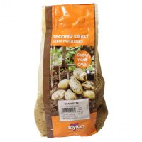 Taylors Second Early Charlotte Seed Potatoes - 2kg Carry Net