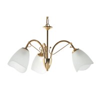 Oaks Lighting Turin 3 Light Chandelier Polished Brass