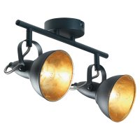 Oaks Lighting Jurva Urban Double Spot Light Black