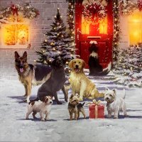 Snowtime Battery Operated Fibre Optic 40cmx40cm Frolicking Dogs Canvas