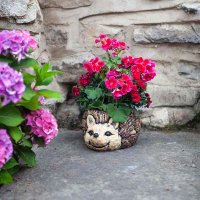 Flamboya Woodland Hedgehog Planter