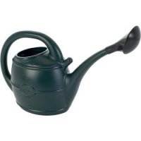 Watering Can  Brass Rose