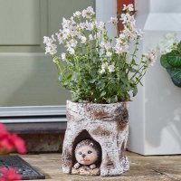 Flamboya Hog Log Planter