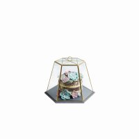 Artesá Glass Serving Cloche with Slate Base