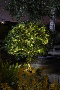 Smart Solar Firefly String Lights 100 LED Warm White