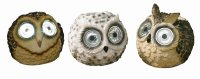 Smart Garden Bright Eye Owls - Assorted Designs