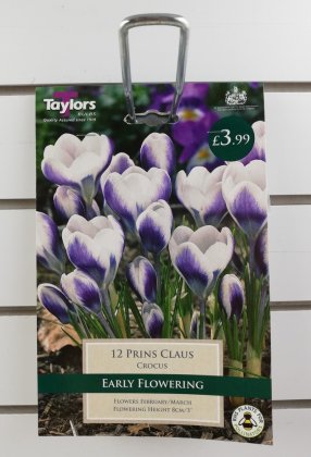 Taylors Prins Claus Crocus - 12 Bulbs