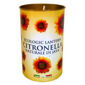 Citronella Fragrant Lantern DISC