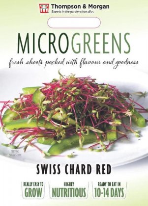 Thompson & Morgan Microgreens Swiss Chard Red Chard