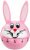 Judge Kitchen Wind-Up 60 Minute Timer - Bunny