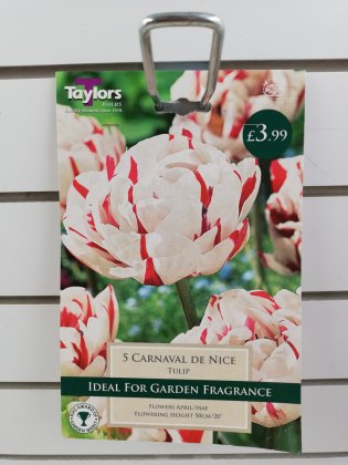 Taylors Carnival De Nice Tulips - 5 bulbs