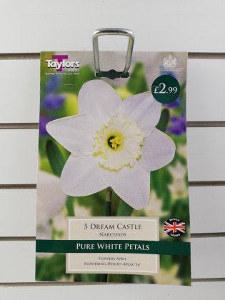 Taylors Dream Castle Daffodils - 5 Bulbs