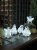 Konstsmide Acrylic Baby Penguin 5 Piece Set