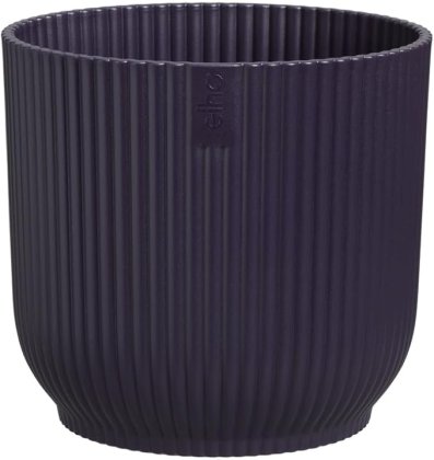 The Winery Collection 14cm Deep Purple