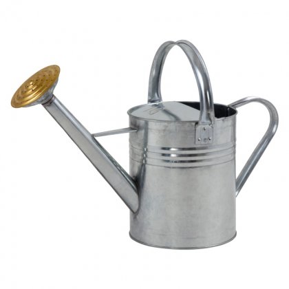 Ambassador Galvanised Watering Can 1 Gallon