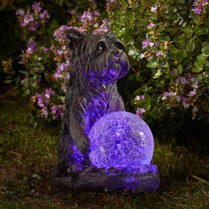 Smart Solar Mystic Dog