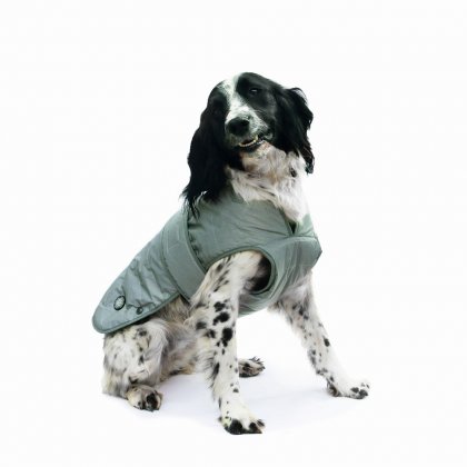 Ancol Ultimate Reflective Dog Coat - XS