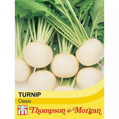 Thompson & Morgan Turnip Oasis