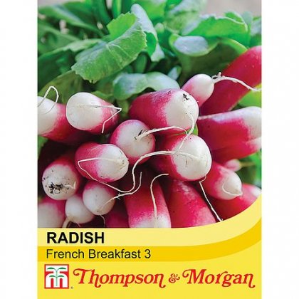 Radish French Breakfast 3