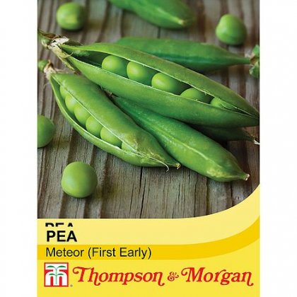 Thompson & Morgan Pea Meteor