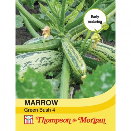 Thompson & Morgan Marrow Green Bush 4