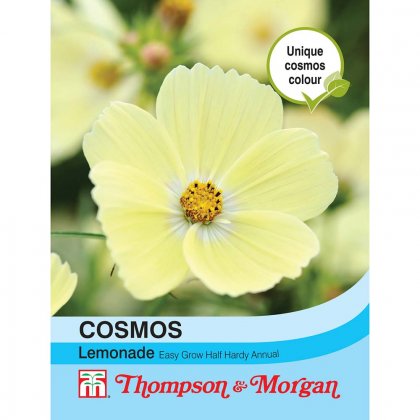 Thompson & Morgan Cosmos Lemonade