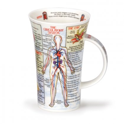 Dunoon Glencoe Shape Fine Bone China Mug - Bodyworks