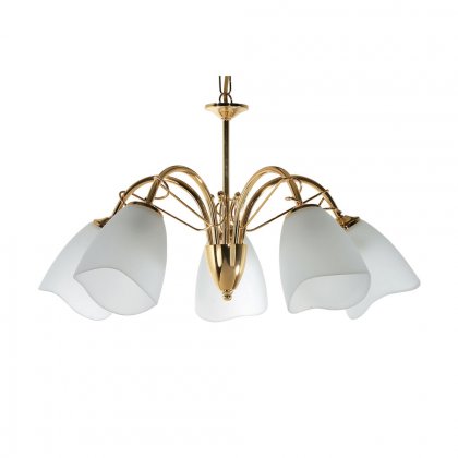 Oaks Lighting Turin 5 Light Chandelier Polished Brass