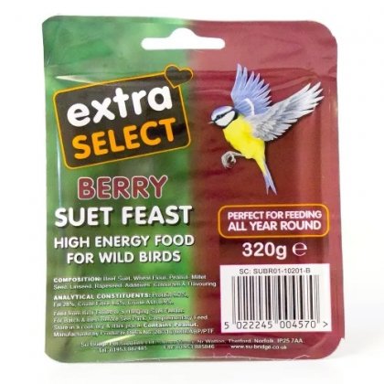 Extra Select Berry Suet Block