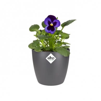 Elho Brussels Round Mini 9.5cm Anthracite Plant Pot