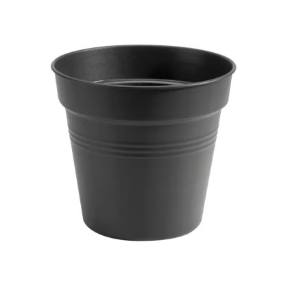 Elho Green Basics Growpot - 11cm Living Black