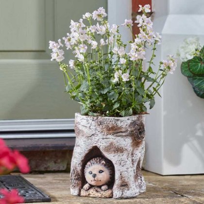 Flamboya Hog Log Planter