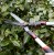 Darlac Telescopic Hedge Shears