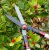 Darlac Telescopic Hedge Shears