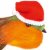 Premier Decorations 10cm Robin With Santa Hat Pick