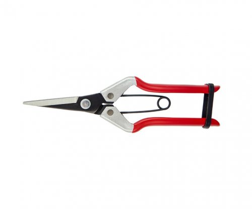 Darlac Vine Scissors