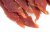 The Dog Deli Tasty Prime Duck Fillets 100g