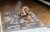 Pet Rebellion Big Softie 67 x 100cm - Taupe