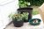 Whitefurze 34cm Barrel Planter - Black