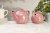 Siip Ditsy Floral 2 Cup Teapot Pink