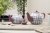 Siip Gingham 2 Cup Teapot Purple