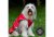 Ancol Stormguard Dog Coat - Red Small/Medium